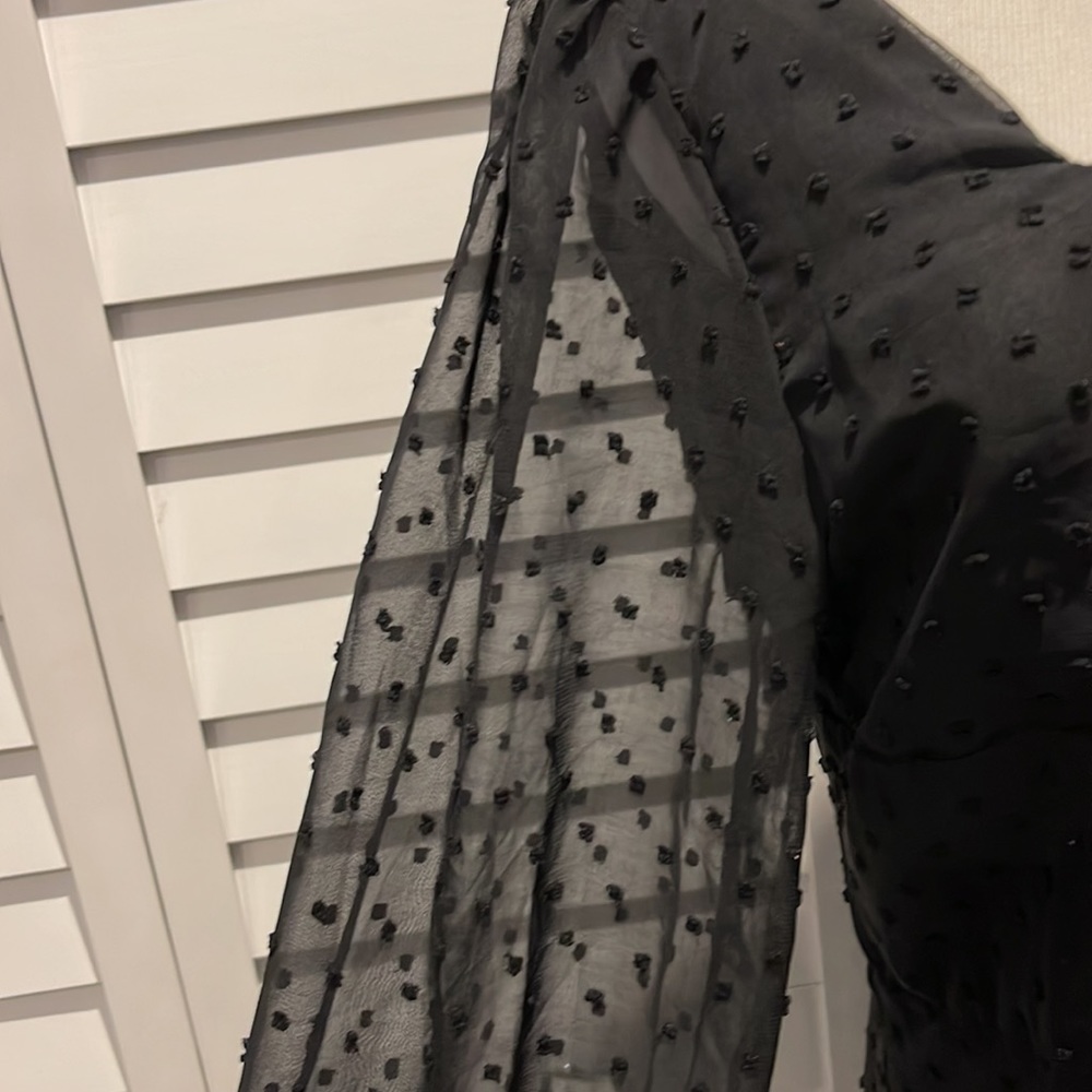Lyaner Black gorgeous Dress in Swiss Dots Fabric. Long sheer Sleeves, lined. - Picture 3 of 8